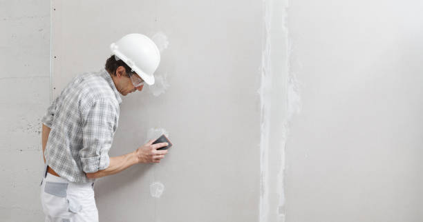 Best Post-Construction Mold Inspection  in Temecula, CA